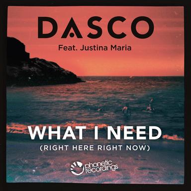 What I Need - Sauna Riot! Mix