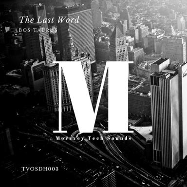 The Last Word - Original Mix