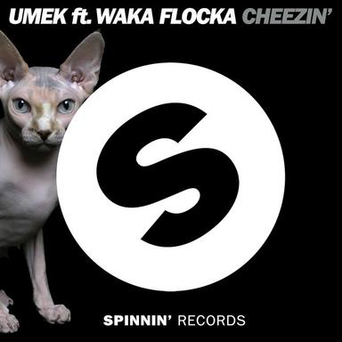 Cheezin' - Radio Edit