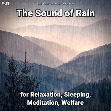 Rain Sounds for Your Baby