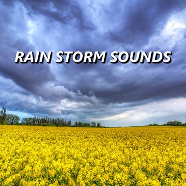 Rain Sounds