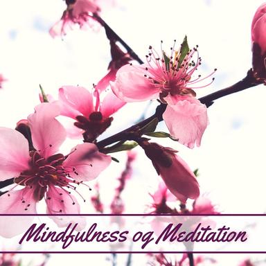 MO