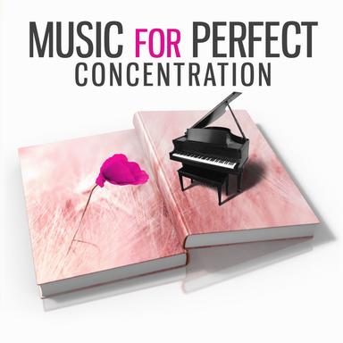 Violin Partita No. 2 in D Minor, BWV 1004: I. Allemande