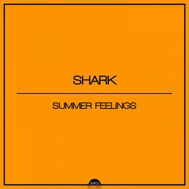 Summer Feelings