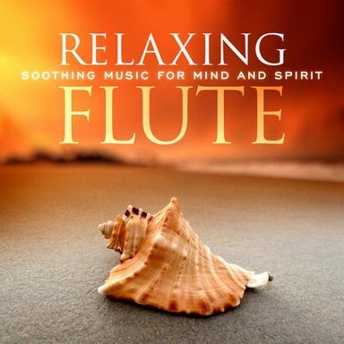 Concerto In C Major For Sopranino Recorder, Strings And B.C, RV 443: II. Largo