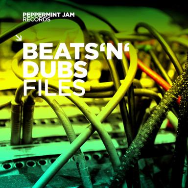 Check It Out - Sounds Of Life Dub