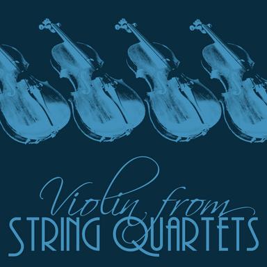 String Quartet, Op. 11: I. Molto allegro e appassionato