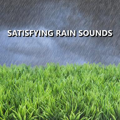 Windy Twilight Rainfall Sounds