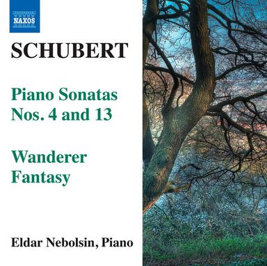 Piano Sonata No. 13 in A Major, Op. 120, D. 664: I. Allegro moderato