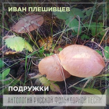 Роза