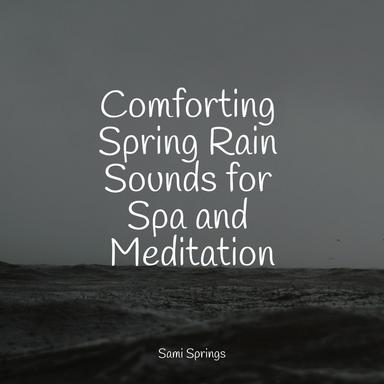 Soothing Beach Ambience (Gentle Waves)