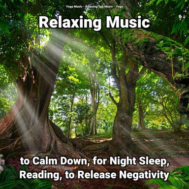 Reiki Meditation