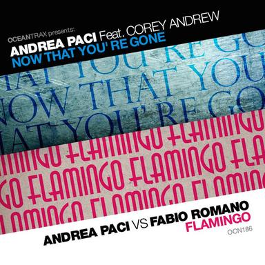 Now That You're Gone - Andrea Paci Radio Edit