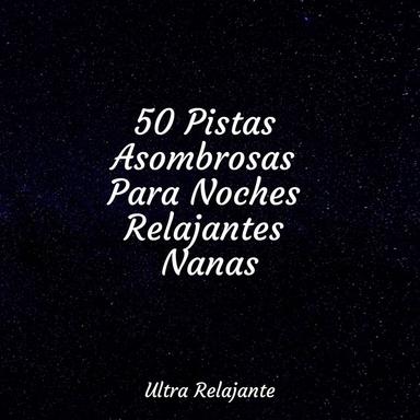 Comienzo De La Paz