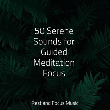 Tranquilizing Musical Pleasures