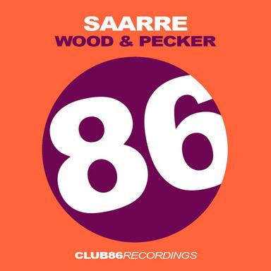 Wood & Pecker - Original Mix