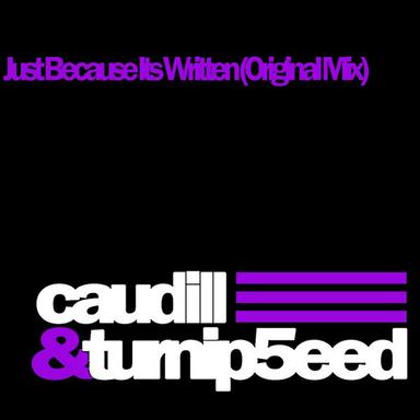 Just Because Its Written - Original Mix