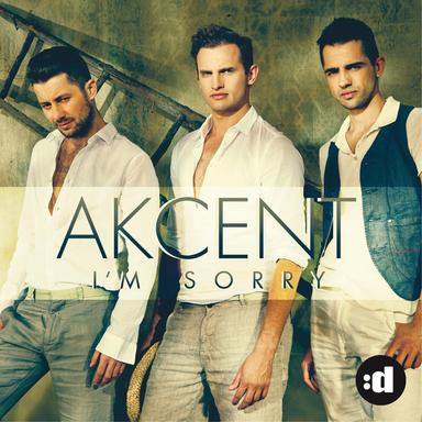 I'm Sorry - Radio Edit