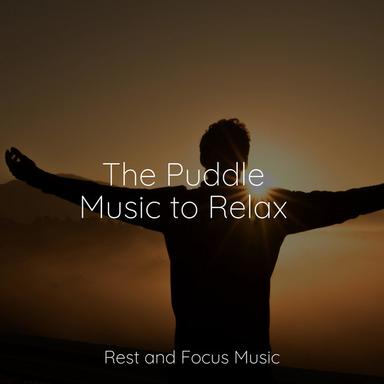 Bringing Serene Sounds