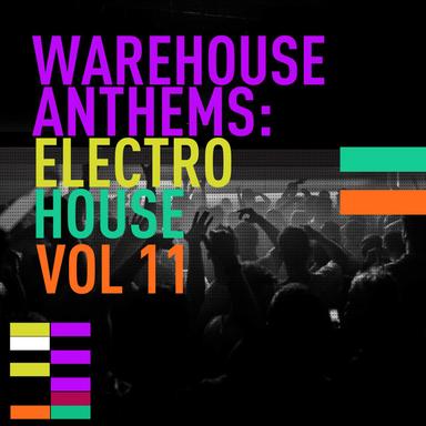 Insane RMX 2013 - N1MIC RMX