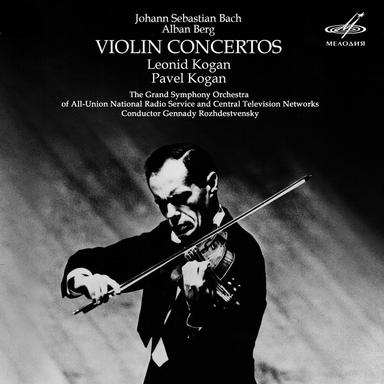 Violin Concerto: I. Andante - Allegretto