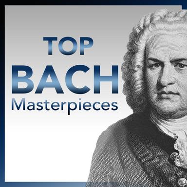 Brandenburgisches Concerto No. 3 in G Major, BWV 1048: Allegro