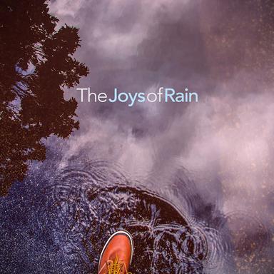 Rain at Dawn