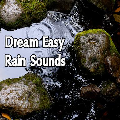 Rain Sound: Meditation