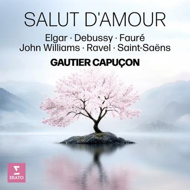 Saint-Saëns: Le carnaval des animaux: VII. Aquarium