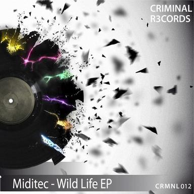 Stampede (Original Mix)