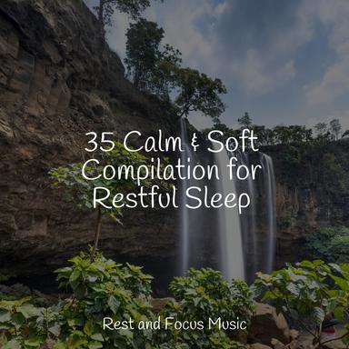 Calming Zen