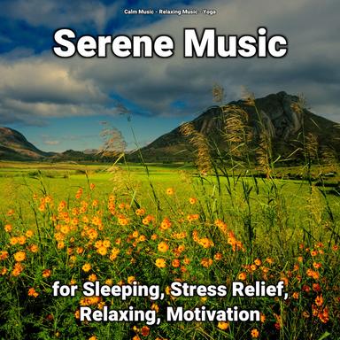 Stress Relief
