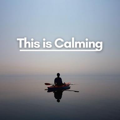 Meditation Zen Vibes, Pt. 1
