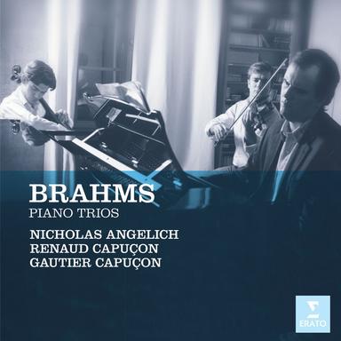 Brahms: Piano Trio No. 3 in C Minor, Op. 101: II. Presto non assai