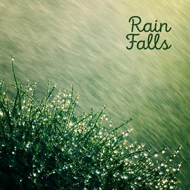 Forecast Rain