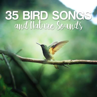 Wooded Song