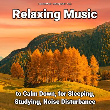 Study Music