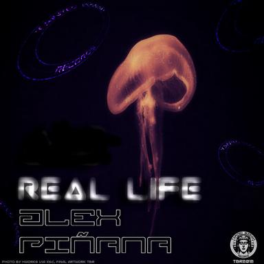 Real Life - Original Mix