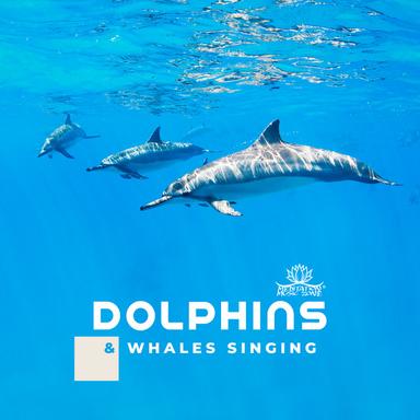 Alpha Waves