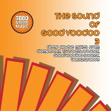 Dance With Me - Good Voodoo Society Latin Vocal Mix