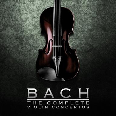 Concerto No. 2 in E Major for Violin and Strings, BWV 1042: I. Allegro