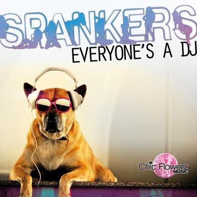 Everyone's a DJ - Radio Edit