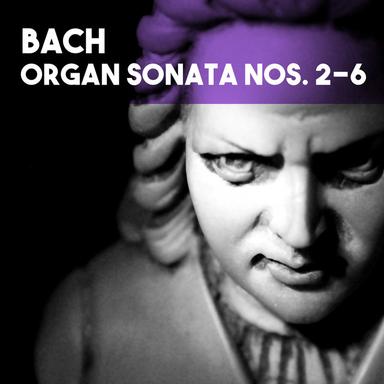 Organ Sonata No. 5 in C Major, BWV 529: Organ Sonata No. 5 in C Major, BWV 529: II. Largo