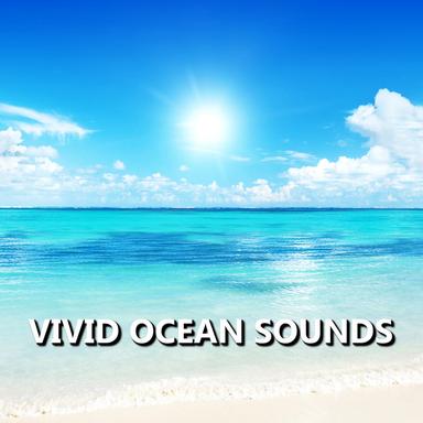 Spirited Meditation Beach Waves
