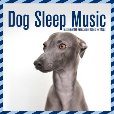 Sleep Therapy