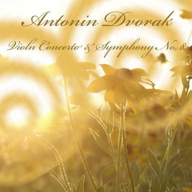 Cello Concerto in B Minor, Op. 104, B. 191: I. Allegro