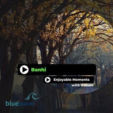 Blissful Entities - Original Mix