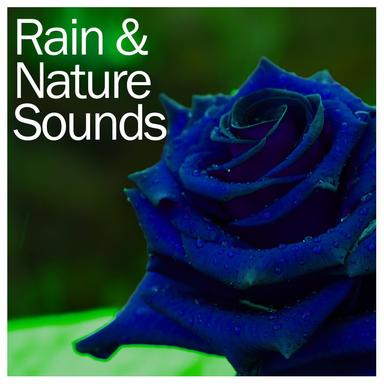 9 Minute Loopable Heavy Rain