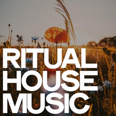 Don't You - Smithsonian House Mix