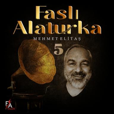 MŞ